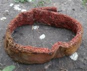 Халхинголка Обр. 36 г.