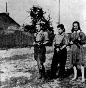 Вильнюс, Литва. Партизанки Зельда Таргер, Рейзл Карчок и Витка Кемфнер. Copyright Film and Photo.jpg