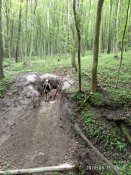 IMG_20200515_132653.jpg