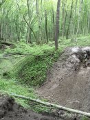 IMG_20200515_132657.jpg