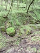 IMG_20200515_132705.jpg