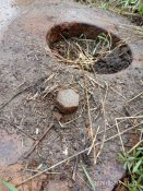 IMG_20200515_170235.jpg