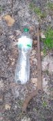 IMG_20200515_183858.jpg