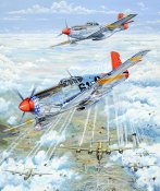 red-tail-61-charles-taylor.jpg