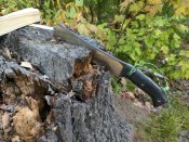 big-chris-chopper-stump-1024x768.jpg