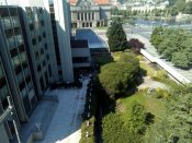 IMG_20200517_101726.jpg