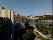 IMG_20200517_101701.jpg