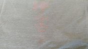 IMG_20200513_122006.jpg