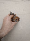 IMG_20200517_155246.jpg