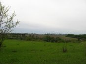 IMG_0309.JPG