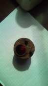 IMG_20200517_200210.jpg