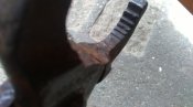 IMAG8503.jpg