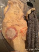 IMG_20200517_230839.jpg