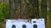 WP_20200517_18_16_10_Pro.jpg