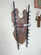 IMG_20200518_154915.jpg