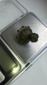 40C51179-9F66-4E1E-9748-B793892A77B8.png