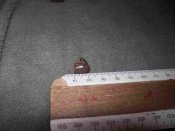 100_0975_thumb.jpg