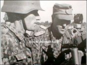 waffen_ss_rk_199.jpg