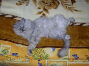 DSCN1228_thumb.jpg