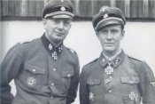 dlibeo1.jpg