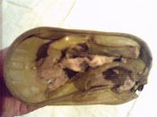 Foto_0668.jpg