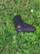 IMG_20200520_071938.jpg