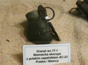wz17-1_1.jpg