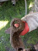 IMG_20200521_130443.jpg