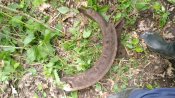 PHOTO_20200521_152522.jpg