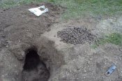 DSC01410.jpg