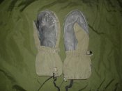 DSC07514.jpg
