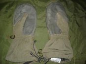 DSC07519.jpg