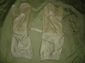 DSC07522.jpg