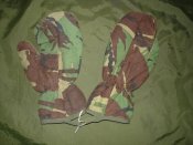 DSC07525.jpg