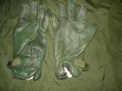 DSC07534.jpg