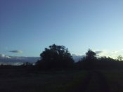 IMG_20200522_194612.jpg