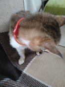 IMG_20200523_141813.jpg