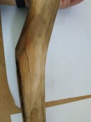 IMG_20200521_150421.jpg