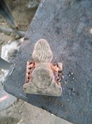 IMG_20200524_152236.jpg