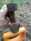 IMG_20200525_175610.jpg