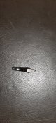 20200526_114013.jpg