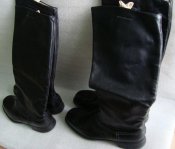 DSC08587.jpg
