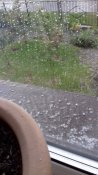 20200527_135343.jpg