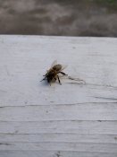 IMG_20200527_180721.jpg