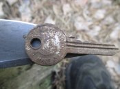 Лес 22 075.JPG