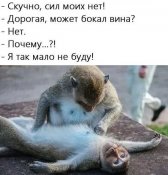 изображение_viber_2020-05-28_00-10-311.jpg