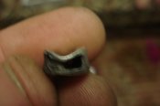 DSC00753.jpg