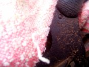 IMG_20200529_115842.jpg