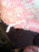 IMG_20200529_115855.jpg