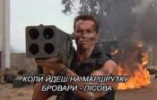 изображение_viber_2020-05-29_20-35-53.jpg